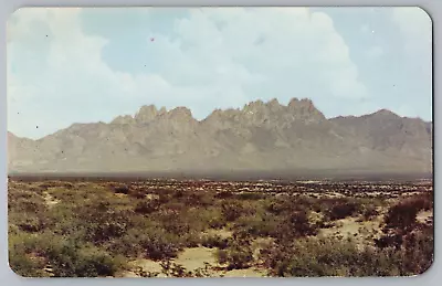 Organ Mountains Las Cruces Southern New Mexico Vintage Postcard NM Chrome UNP • $10.09