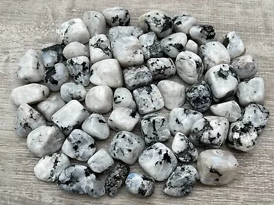 Wholesale Lots Tumbled Stone0.75-1.25  Crystal Healing StonesChoose Stone Type • $86.85