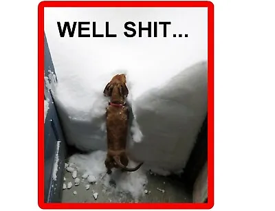 Funny Dachshund Dog In Snow Refrigerator / Tool Box  Magnet • $8