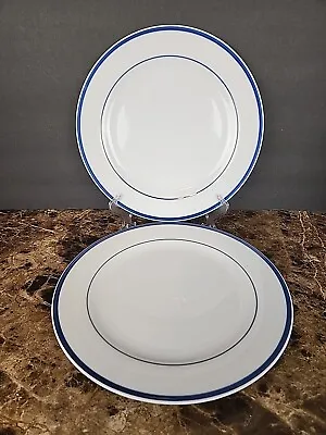 Set Of 2 Maitre D' By Oneida 11  Dinner Plates Porcelain Blue Stripes White • $29.99