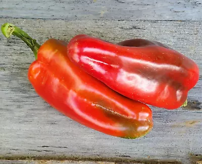 20 Fresh Sweet Marconi Red Premium | NON-GMO | Pepper Seeds-B 47 • $2.79
