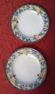 Mikasa Intaglio CAC29 Garden Harvest Dinner Plates - Lot Of 2 • $21.97