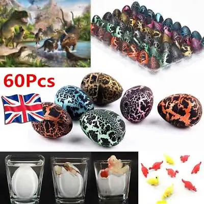 £12.97 • Buy 60pcs Magic Add Water Dinosaur Eggs Hatching Dino Growing Children Toy Gift Toys