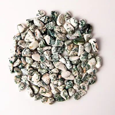 1/2 Lb Tumbled Small Tree Agate Gemstone Crystals 100-130 Stones Dendritic Gems • $21.99