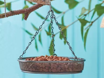 Hanging Wild Bird Feeder Garden Seed Nuts Tray Traditional Mesh Metal Dish Cheap • £10.99