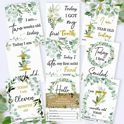 Baby Milestone Cards • Eucalyptus Memory Cards • Botanical Baby Gift • 1st Year • £5.99