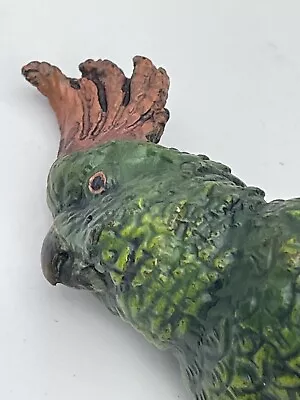 Franz Bergman Cold Painted Bronze Parrot Cockatoo Parakeet Bird Original Superb • £295