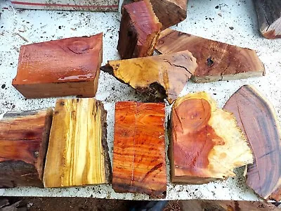 20 Lb Craft Wood Lot Blanks Burl Grain Manzanita Olive Juniper Locust Eucalyptus • $49.95