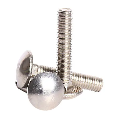 M5 M6 M8 M10 Carriage Bolts Cup Square Screws Coach Bolt A2 Stainless Steel • £36.21