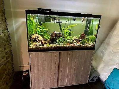 90 Gal Glass Aquarium Tank W Stand • $500