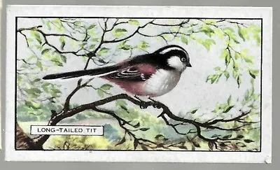 Tobacco Card Gallaher BRITISH BIRDS 1937 Long Tailed Tit #22 • £2