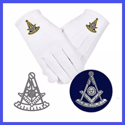 Past Master Glove Set - Pair Of Gloves + Auto Emblem + Tail Light Decal - Save $ • $20.95