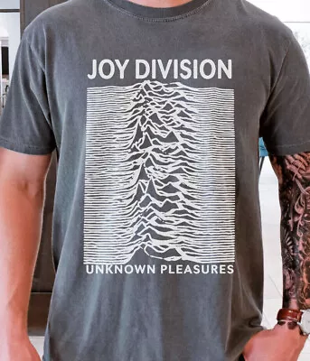 Joy Division T-Shirt 70s English Rock Band Vintage Black Comfort Colors 1717 Tee • $22.95