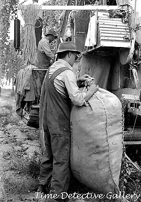 Bagging Hops Yakima Washington - 1941 - Historic Photo Print • $10