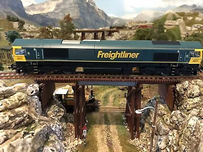 £80 • Buy Dcc Sound Fitted Hornby Class 66 Freightliner 00 Gauge