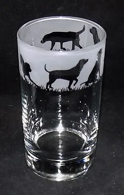 New 'LABRADOR' Hand Etched Highball Glass With Gift Box - Perfect Gift! • £12.99