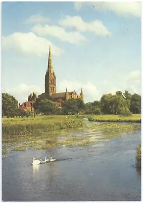 Salisbury Cathedral From The River Avon Colour Postcard Posted 1977 • £2.30