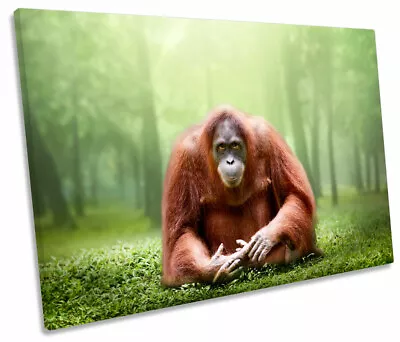 Orangutan Monkey Print SINGLE CANVAS WALL ART Picture • $64.99