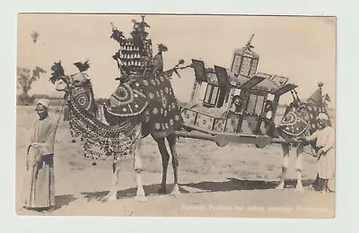Egypt - Egyptian Wedding Procession Portable Pavilion Camels Postcard 620J • £3.99