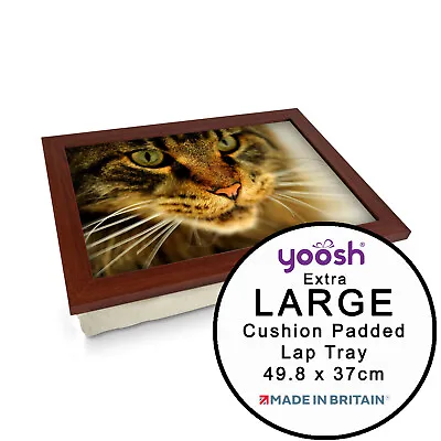 EXTRA LARGE Luxury Framed Laptop Tray Personalised Gift - Tabby Cat Close Up • £28.95