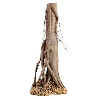 Mangrove Root - Large • £41.64