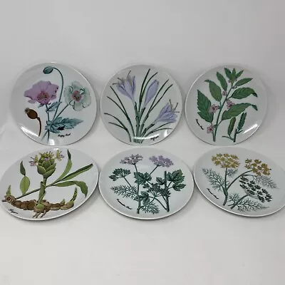 6 Horchow Collection7.75  Plates *** Botanical Herbs Seeds *** Porcelain Japan • $35