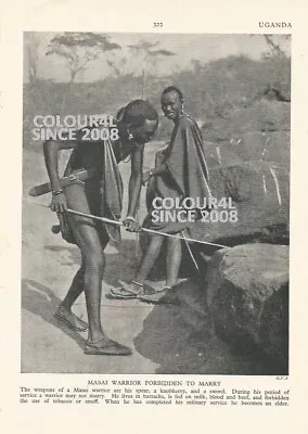 Uganda Masai Warrior Spear Knobkerry Sword C 1930 Photo Illustration Print  • £12.95