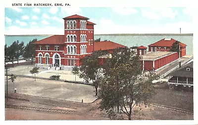 #h3248    Erie Pa.    Postcard  State Fish Hatchery • $5.99