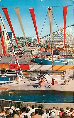 Postcard 1950s California Santa Monica Sea Circus Pacific Ocean Park CA24-1636 • $12.99