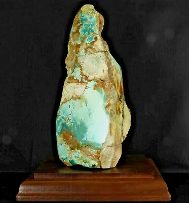 COLLECTIBLE Hachita Turquoise Museum Grade -  American Mined - Mineral Specimen • $1206