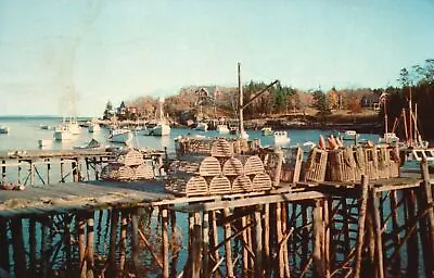 Vintage Postcard 1958 Lobster Traps Along The Shore In Maine ME Harbor Scene • $8.99