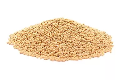 Whole Yellow Mustard Seed - 1 Pound - USA Grown Food Grade Yellow Mustard Spice • $14.18