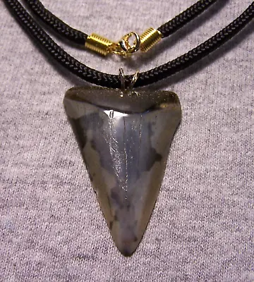 Mako Shark Tooth Shark Teeth Necklace Fossil 1 3/4  Wireless Polished Megalodon • $34