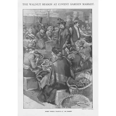 LONDON The Walnut Season At Covent Garden Market - Antique Print 1900 • £13.99