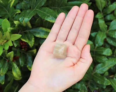 1 X Tumbled Stone: U Choose Type - Huge Range - ON SALE! (Crystal Healing) • $5.75