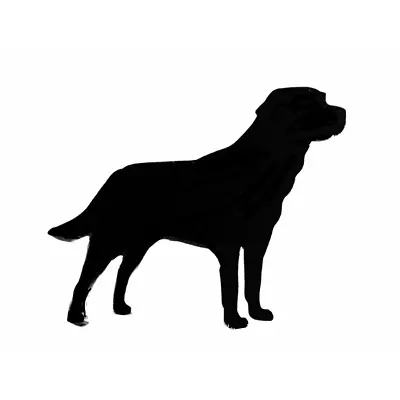 Labrador Dog Smooth Coat Brooch Badge Pin Scarf Fastener In Black With Gift Bag • £3.15