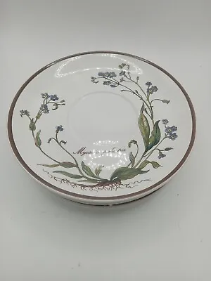 Villeroy Boch Botanica Porcelain Saucers Set Of 4 • $26