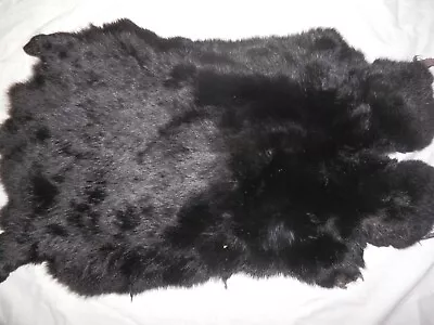 10 X17  BLACK Rabbit Skin Hide Pelt Craft #079 • $14