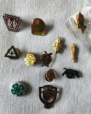 12 Outstanding Vintage Fraternal And Organizational Pins • $18