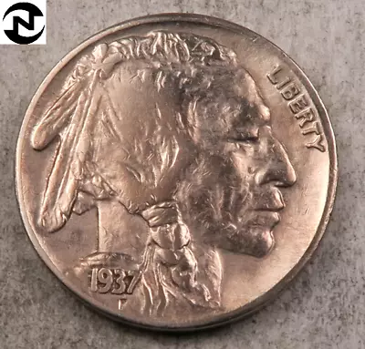 1937-D Buffalo Nickel ~ Choice XF-AU ~ 1 Coin • $5.98