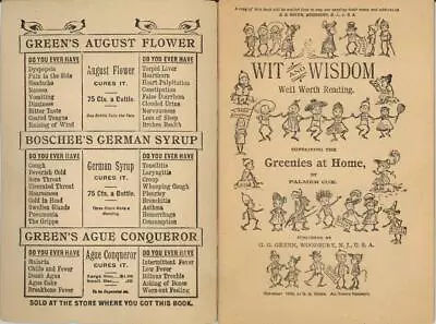 1890 Quack Medicine Book  AUGUST FLOWER & GERMAN SYRUP  VG Palmer Cox Brownies • $199.99