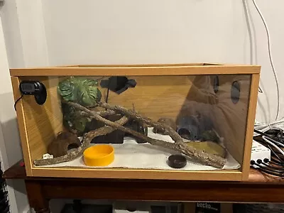 BRAND NEW REPTILE VIVARIUM FULL SET UP (61x38x30cm) • £100