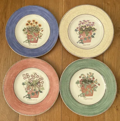 £37 • Buy Wedgwood Queen's Ware 'Sarah's Garden' 21 Cm Side Plates X 4