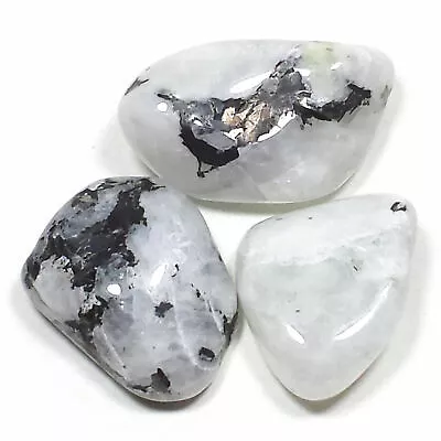 White Rainbow Moonstone Tumbled Polished Crystal Stone 3 Pc Set Avg Size 0.95  • $11.99