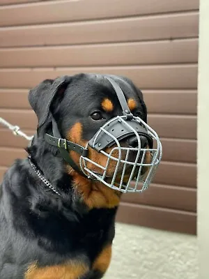 £23.99 • Buy New Metal STRONG Wire Basket Dog Muzzle Rottweiler,Mastiff Golden Retriever 