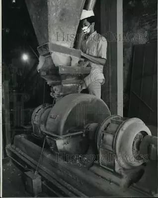 1972 Press Photo Worker Feeds Attrition Mill With Red Pepper - Noc68681 • $19.99