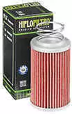 Hiflo Oil Filter (HF567) Fits MuZ MV Agusta Brutale 1090RR 10-11 14-0567 • $15.46