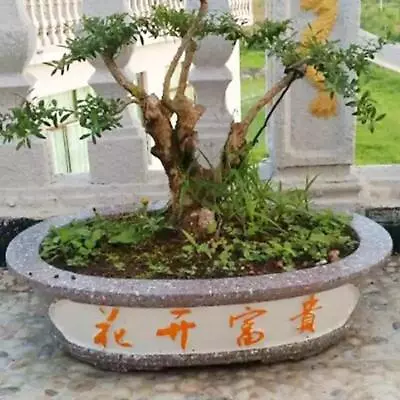 Concrete Large Oval Planter Mold Cement Bonsai Plant Pot Vase Plastic Mould Diy • $313.11