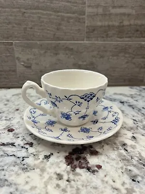 Vintage 1982 Myott Finlandia Cup And Saucer Staffordshire England Blue & White • $9