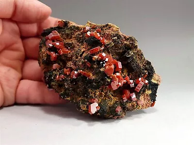 Vibrant Red Vanadinite Crystal Cluster On Dark Matrix #1 • $85